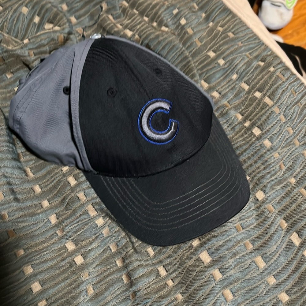 Gray Cubs Hat